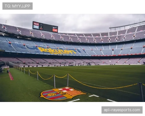 为应对极端天气,部分法甲球场将升级排水与顶棚系统